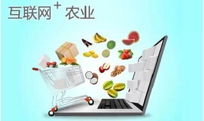 農產品上行 概念解析與常見問題全攻略