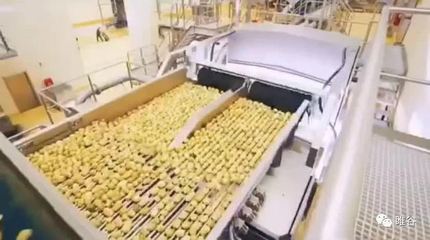 佳盛企智“共享工廠” 創新農產品深加工，引領產業新變革